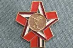 Знак, значок "По пути социализма". Легкий металл. Социалистическая Венгрия
