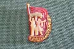 Знак значок "ВСХВ ВДНХ". Пластмасса. СССР. 