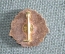 Знак, значок "Arlus". Asociatia Romana pentru strangerea legaturilor cu Uniunea Sovietica. Румыния.