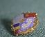 Знак, значок "Arlus". Asociatia Romana pentru strangerea legaturilor cu Uniunea Sovietica. Румыния.
