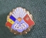 Знак, значок "Arlus". Asociatia Romana pentru strangerea legaturilor cu Uniunea Sovietica. Румыния.