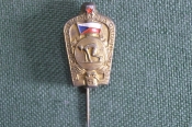 Знак, значок, фрачник 