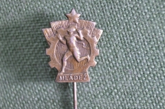 Знак, значок, фрачник "MLADEZ". Спорт. Европа.