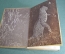 Книга "В сердце Африки". Карл Экли. Перевод Лундберга. Детиздат, 1935 год. #A5
