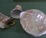 Сервиз, фарфоровые кофейные пары в коробке.Розы. Фарфор, позолота. Yamasen Япония.