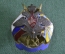 Знак значок "60 лет Секретариат Главнокомандующего Главкома ВВС России". Авиация. Тяж. мет. Эмаль.