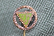 Знак, значок, фрачник 