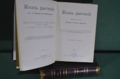 Книги "Жизнь растений", двухтомник. Проф. Кернер фон-Марилаун. Издание пятое. СПБ, 1907 год. #K10