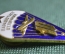 Знак, значок "Парашютист отличник". 10 прыжков.