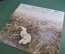 Пластинка, винил "Energit Piknik". Джаз, Jazz-Funk, Jazz-Rock. Panton. 