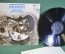 Пластинка, винил "Energit Piknik". Джаз, Jazz-Funk, Jazz-Rock. Panton. 